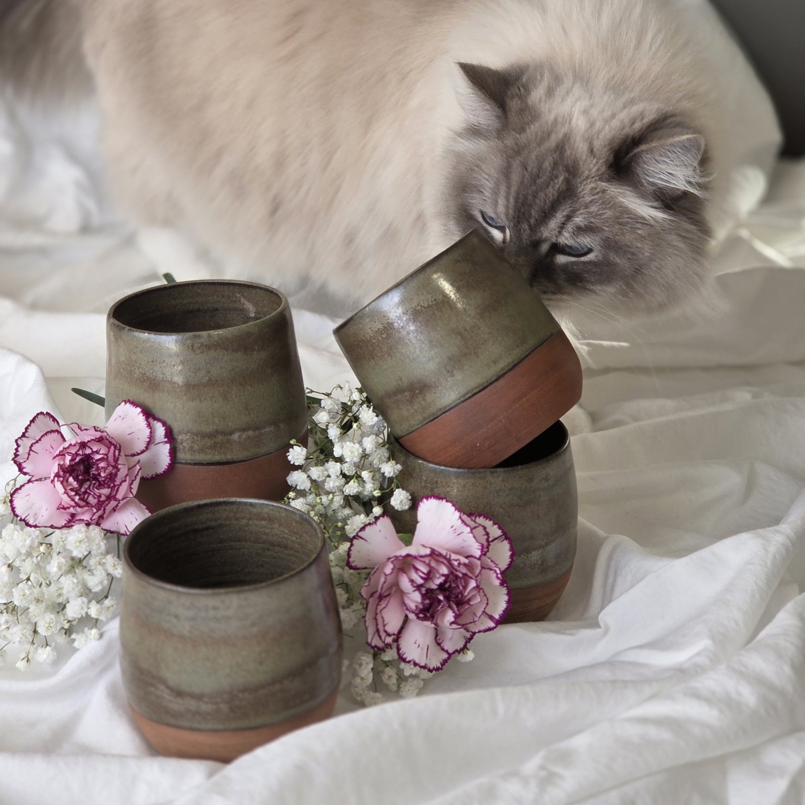 Muggar med katten Pixel