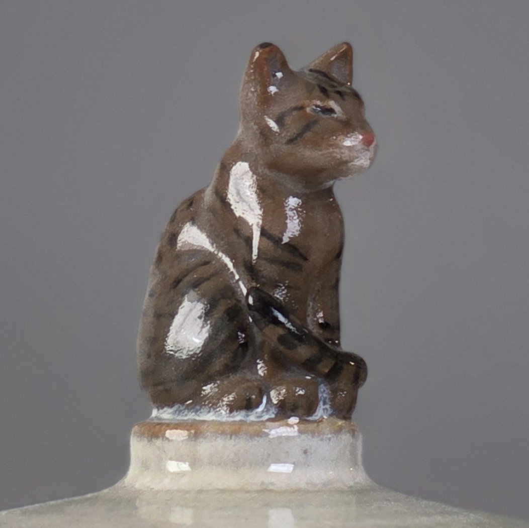 Katt detalj